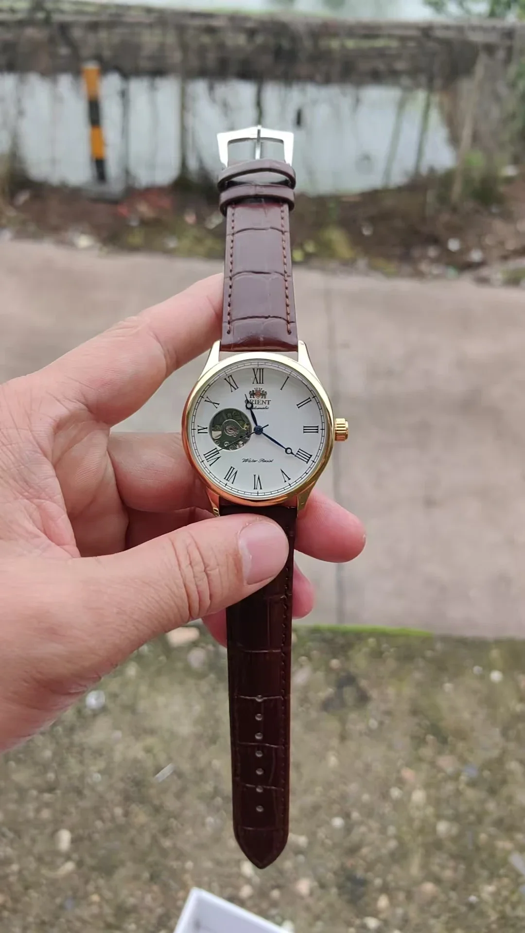 DFDG Mechanical Skeleton Watch - Seiko Watch Presage ulasan dan harga