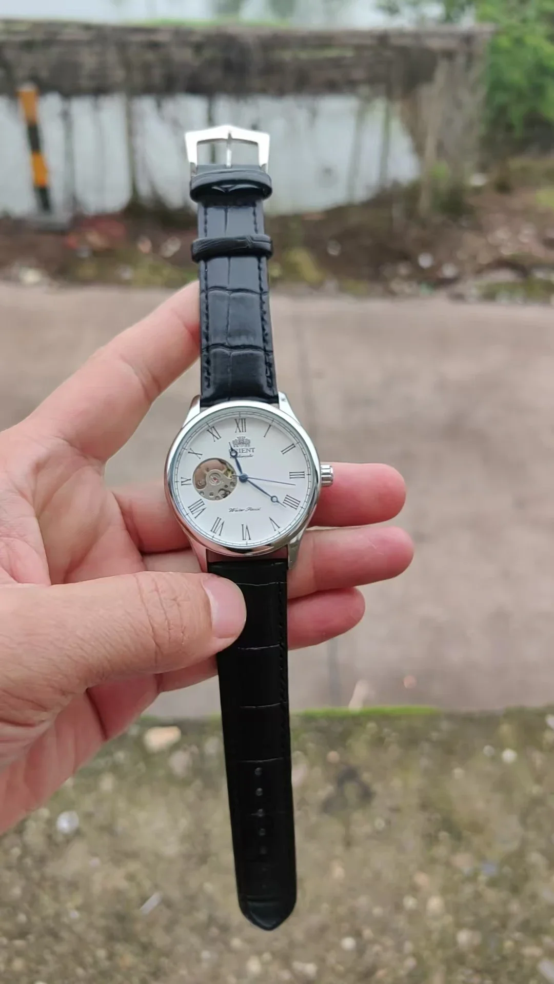 DFDG Mechanical Skeleton Watch - Seiko Watch Presage ulasan dan harga